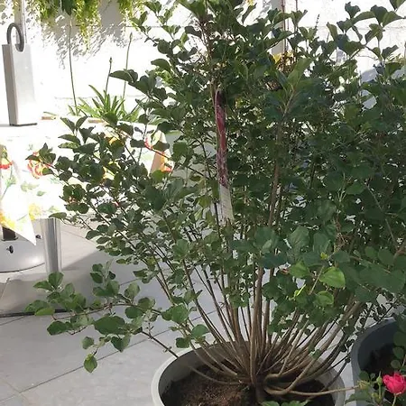 Gasthof Poppies , Free Parking