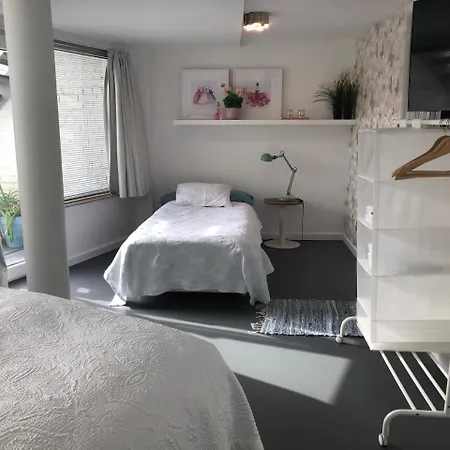 Poppies , Free Parking 4*