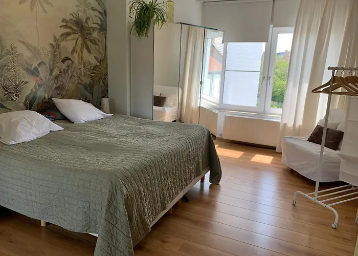 Poppies , Free Parking 4*