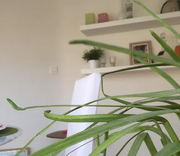 Poppies , Free Parking Ostende