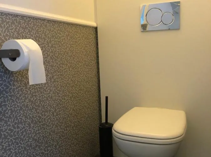 Poppies , Free Parking